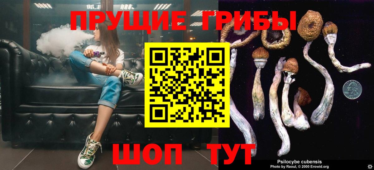 Галлюциногенные грибы мицелий Россия