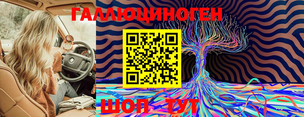 Псилоцибиновые грибы Cubensis  Вход с VPN  Россия 